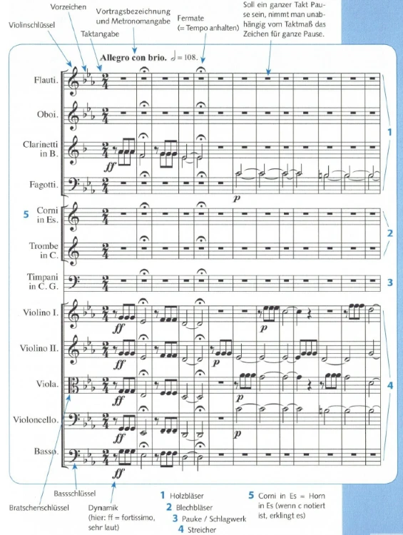 Orchesterpartitur zu Beginn von Beethovens fünfter Sinfonie, beschriftet: Violin-, Bratschen- und Bassschlüssel, Vorzeichen, Taktangabe, Vortragsbezeichnung mit Metronomangabe, Fermate, Ganztaktpause, Dynamik (ff) und die Instrumentengruppen Holzbläser, Blechbläser, Pauke und Streicher; Hörner in Es